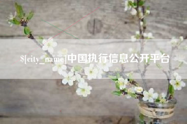 甘孜中国执行信息公开平台