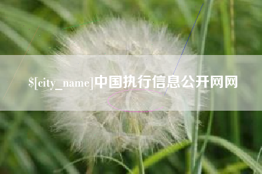 甘孜中国执行信息公开网网