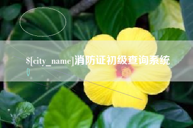 甘孜消防证初级查询系统