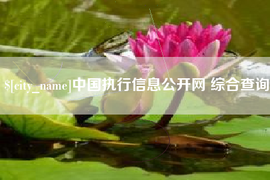 甘孜中国执行信息公开网 综合查询