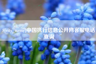 甘孜中国执行信息公开网客服电话查询