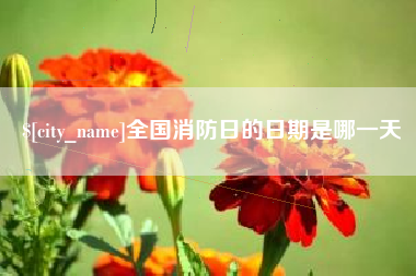 甘孜全国消防日的日期是哪一天
