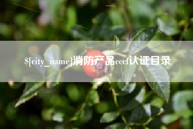 甘孜消防产品cccf认证目录