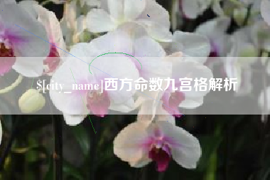 甘孜西方命数九宫格解析