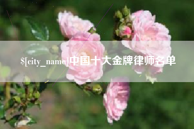 甘孜中国十大金牌律师名单