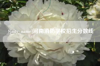 甘孜河南消防学校招生分数线