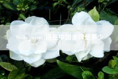 甘孜现在中国金牌是多少