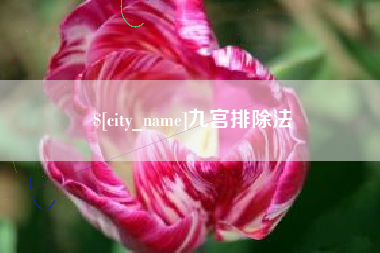 甘孜九宫排除法