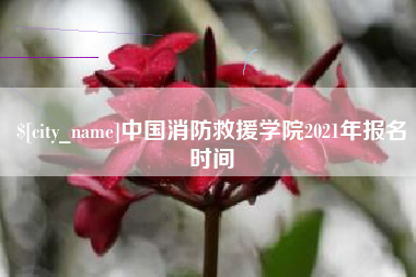 甘孜中国消防救援学院2021年报名时间