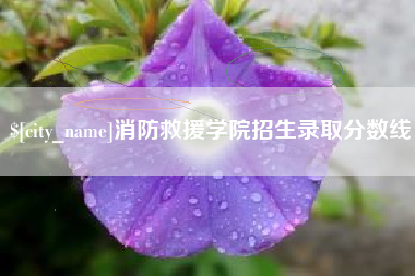 甘孜消防救援学院招生录取分数线