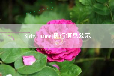 甘孜执行信息公示