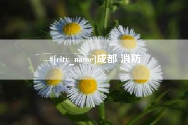 甘孜成都 消防
