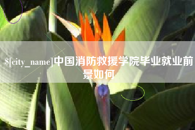 甘孜中国消防救援学院毕业就业前景如何