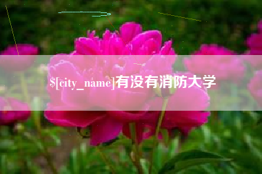 甘孜有没有消防大学