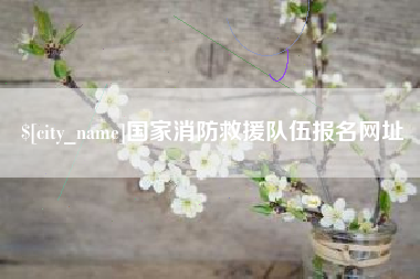 甘孜国家消防救援队伍报名网址