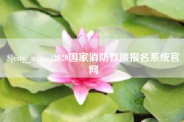 甘孜2020国家消防救援报名系统官网
