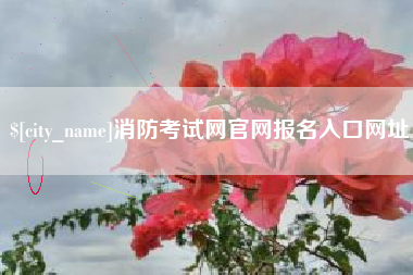 甘孜消防考试网官网报名入口网址