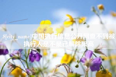 甘孜中国执行信息公开网查不到被执行人是不是已解除限高