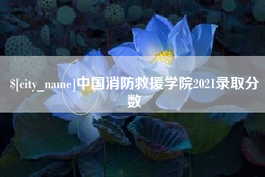 甘孜中国消防救援学院2021录取分数