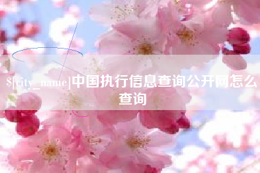 甘孜中国执行信息查询公开网怎么查询