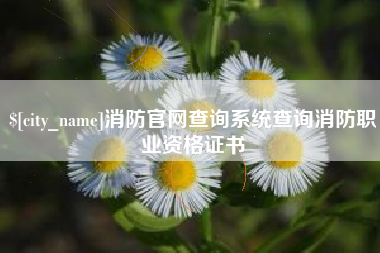 甘孜消防官网查询系统查询消防职业资格证书
