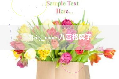 甘孜九宫格牌子