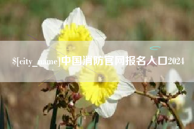 甘孜中国消防官网报名入口2024