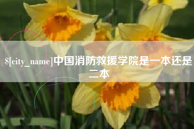 甘孜中国消防救援学院是一本还是二本