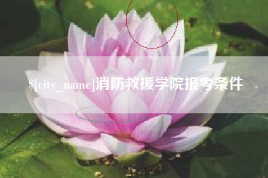甘孜消防救援学院报考条件