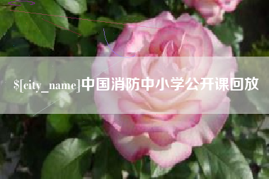 甘孜中国消防中小学公开课回放