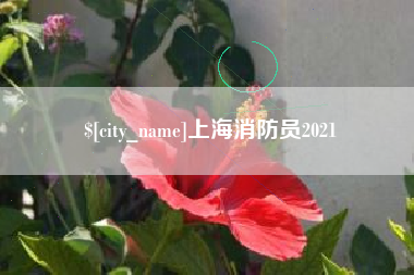 甘孜上海消防员2021
