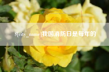甘孜我国消防日是每年的