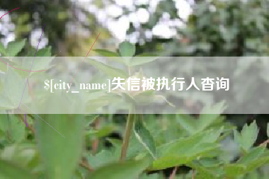 甘孜失信被执行人杳询