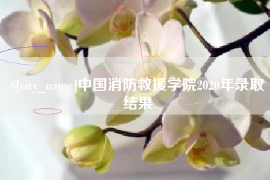 甘孜中国消防救援学院2020年录取结果