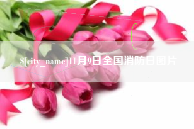 甘孜11月9日全国消防日图片