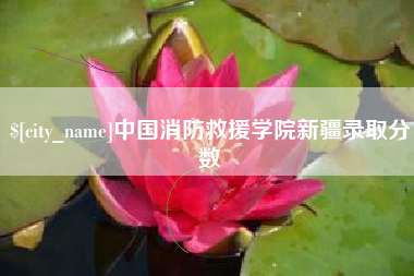 甘孜中国消防救援学院新疆录取分数