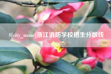甘孜浙江消防学校招生分数线