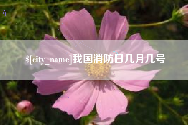 甘孜我国消防日几月几号