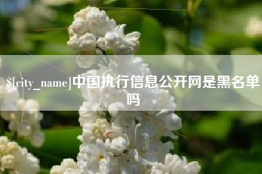 甘孜中国执行信息公开网是黑名单吗