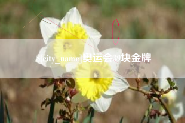 甘孜奥运会39块金牌