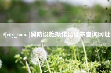 甘孜消防设施操作员证书查询网址