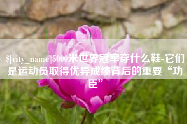 甘孜5000米世界冠军穿什么鞋-它们是运动员取得优异成绩背后的重要“功臣”
