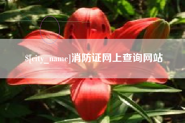 甘孜消防证网上查询网站