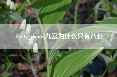 甘孜九宫为什么只有八卦