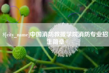 甘孜中国消防救援学院消防专业招生简章
