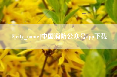 甘孜中国消防公众号app下载