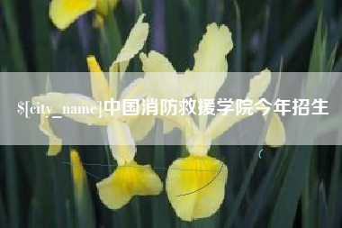甘孜中国消防救援学院今年招生