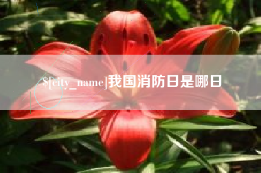甘孜我国消防日是哪日