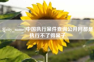 甘孜中国执行案件查询公开网都是执行不了得案子