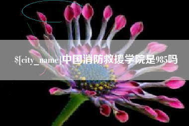 甘孜中国消防救援学院是985吗